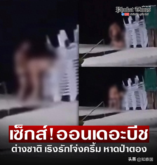 恬不知耻！外国男女公然在泰国海滩“大做特做”引热议