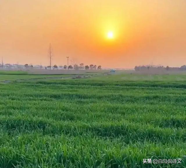 余秀华佳作《在田野上打柴火》：人间情事一丢，就有了清澈的骨骼