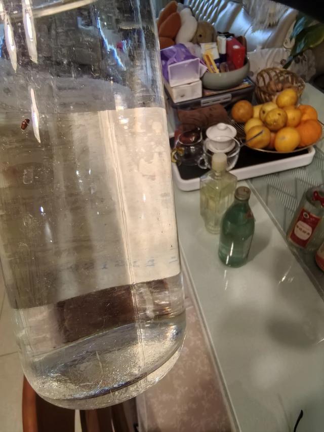 看看我这辈子收藏的老酒，若你认识，证明你也老了