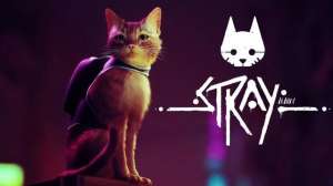 stray(《Stray》评测：竟然有游戏如此明目张胆的收割猫奴我无法拒绝)