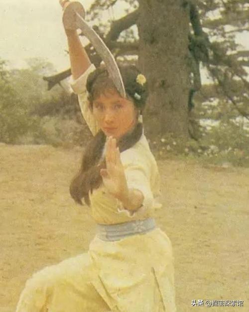 那些风光后，又“过气”的功夫女星，有人当道姑，有人成武术教练