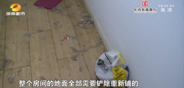 女租客突然离去,房东直呼恐怖:房内遗弃十余只猫,垃圾遍地、恶臭难闻……