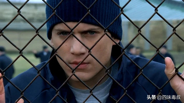 《越狱》重启,时隔15年再见“初恋”,凭什么要不离不弃?