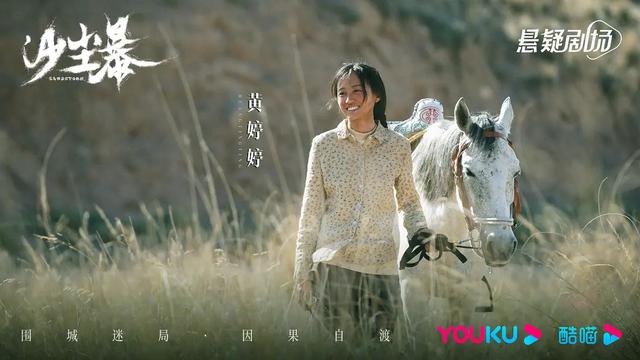 段奕宏、王锵、 张佳宁主演的悬疑刑侦剧《沙尘暴》剧情详解