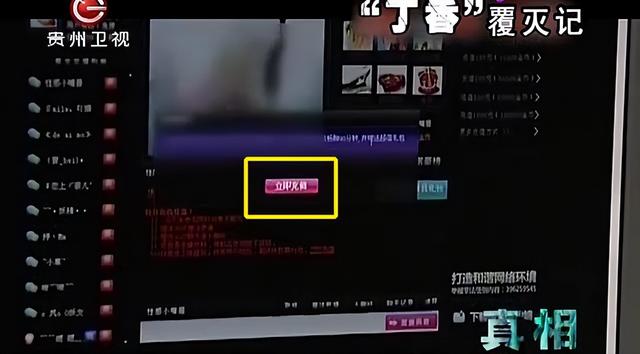 色情网站“丁香”覆灭记：7.3亿的浏览量背后，是谁在操控盈利？