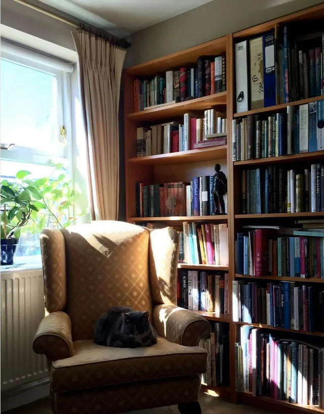 终于明白费翔没有老婆没有孩子的原因了！看他和许知远对谈就明白