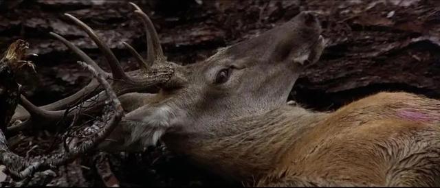 片长3个小时的战争片，我一口气看完，不舍得快进1秒钟