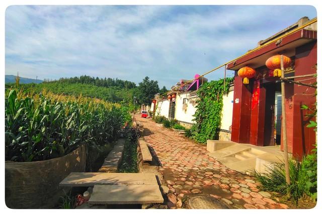 俩儿子争抢着要把李婶接到城里尽孝，可是她却骂儿子们不孝顺…