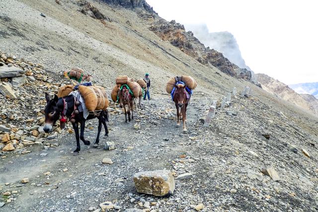 不毛地带的绿洲，茶马古道止于此，与印度、尼泊尔为邻，边贸繁荣