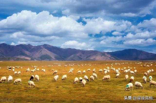 友情至上,慷慨大方的星座,他们真心为朋友奉献,不计较回报