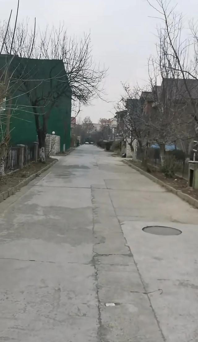 李菁菁现状:住北京宋庄别墅与父母一起生活,复出赚钱不再谈恋爱