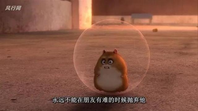 纯真,坚定,找寻,友情——《闪电狗》