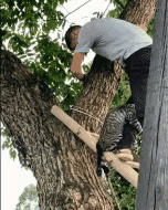 30张罕见图片：最美伴娘团，有纹身的最顶，你们觉得呢？