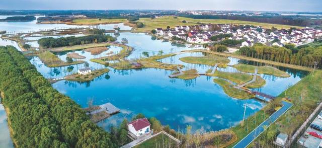 “为‘美丽中国’增色添彩”——对话上海园林(集团)有限公司董事长张勇伟