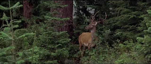 片长3个小时的战争片，我一口气看完，不舍得快进1秒钟