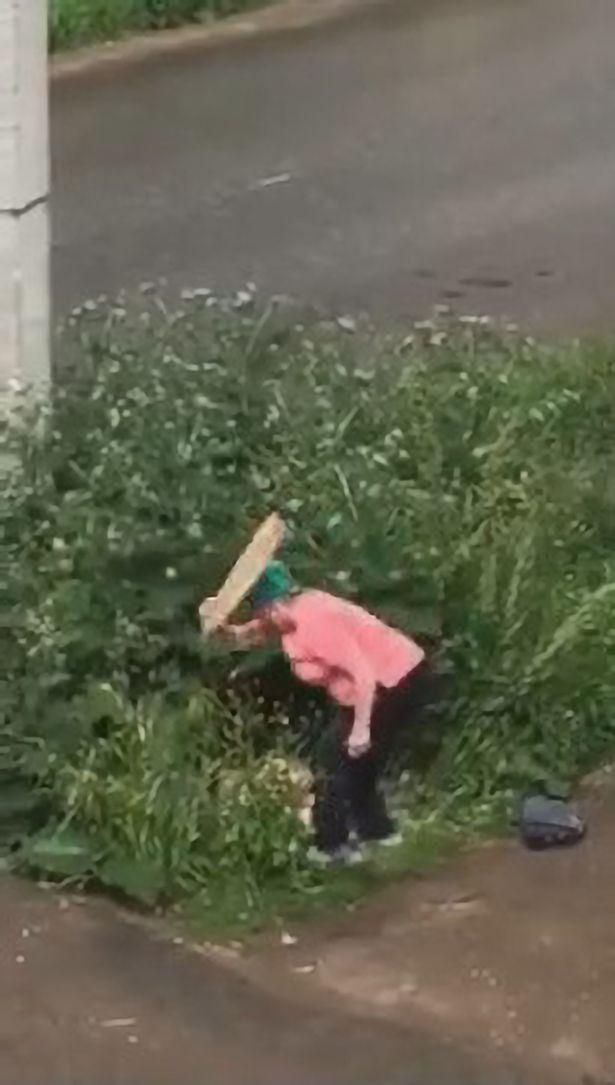 俄一对情侣草丛缠绵，被愤怒的邻居大妈用木板狠打严厉教育