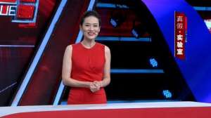 斯特林发动机(一杯水就能让发动机持续转动？原理到底是啥？)