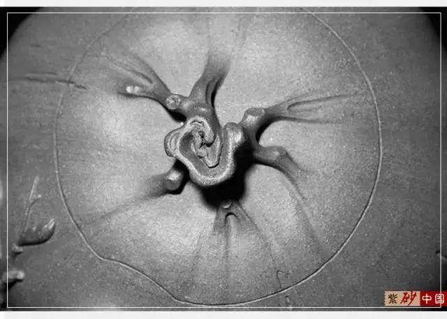 读｜《子辰》石燕·〔原创新作〕