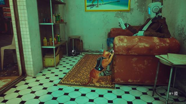 《Stray》评测：竟然有游戏如此明目张胆的收割猫奴！我无法拒绝
