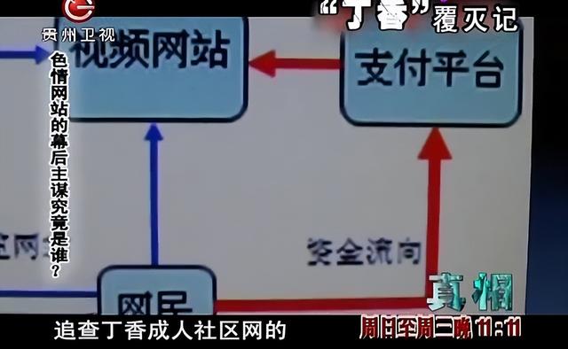 色情网站“丁香”覆灭记：7.3亿的浏览量背后，是谁在操控盈利？