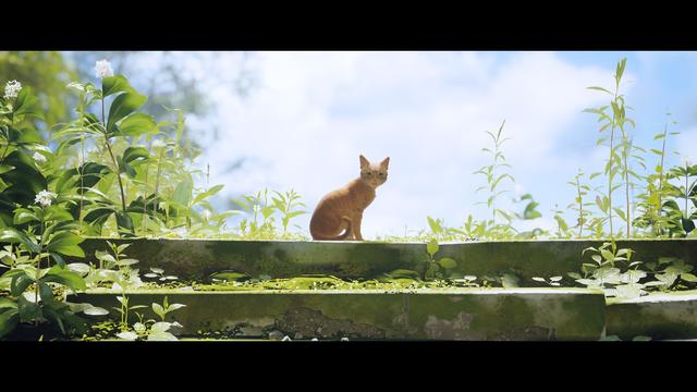 《Stray》评测：竟然有游戏如此明目张胆的收割猫奴！我无法拒绝