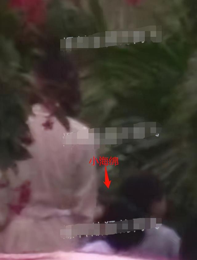 baby与儿子现身三亚，母子当街甩手闹别扭，小海绵撒娇抱腿超呆萌