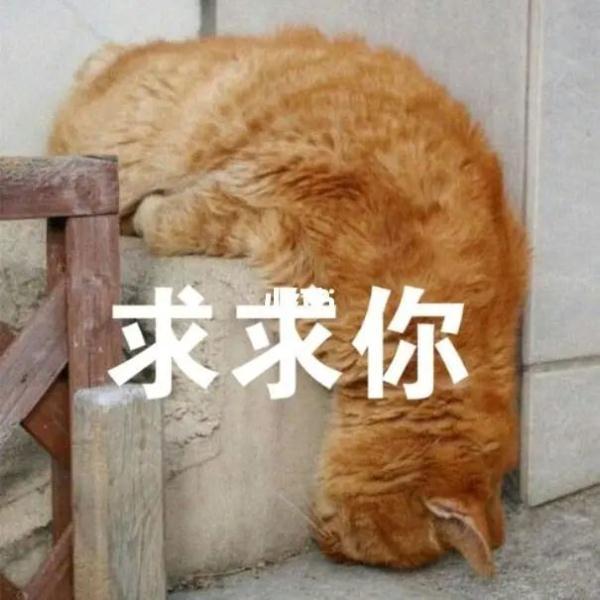 毕竟没有它，你啥也听不见