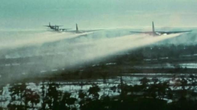 太惨了!“这就是种族灭绝!”