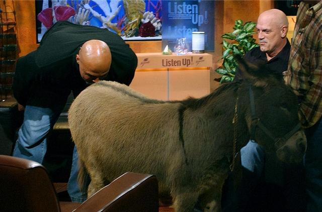 相比与劳伦，姚明选择叶莉才是明智的，但女儿的美国国籍惹争议