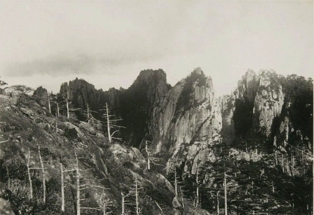 打虎英雄陈耆芳，为孙复仇打死138只老虎，周总理亲自接见