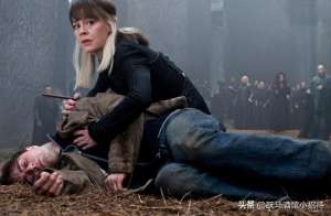 唐克斯尼法朵拉(魔法界历史上最重要的谎言，纳西莎·马尔福为什么要欺骗伏地魔呢)