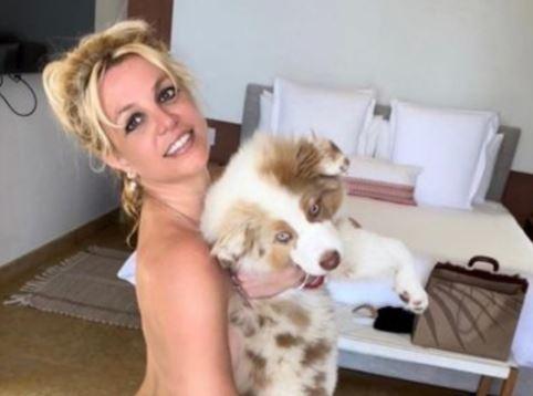 精神状态再惹担忧！小甜甜布兰妮穿比基尼辣舞，差点做出不雅举动