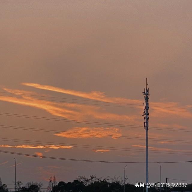 撒谎(短篇小说)