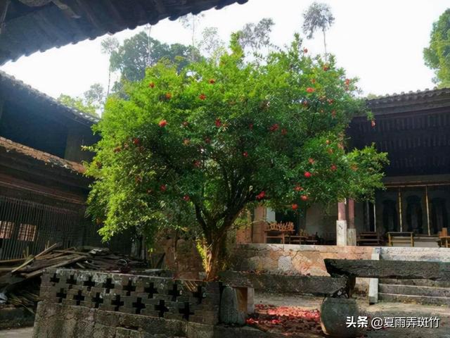 云南古代名人——何朗