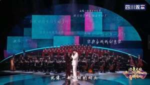 主题歌(韦唯迪玛希同台献唱“金熊猫奖”主题曲《同行》)