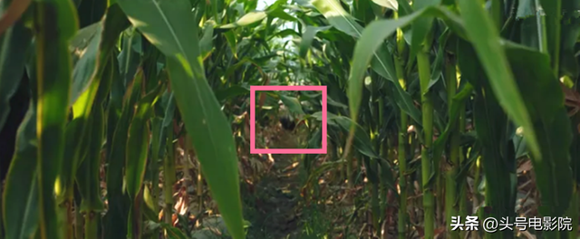 9.5分！《漫长的季节》完结封神，更厉害的是，王响还有隐藏结局