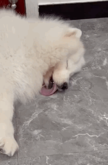 彭于晏隔离前后素颜照流出,粉丝疯了:哥哥根本配不上我