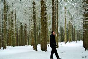 心脏病患者(心脏病患者如何度过冬季这个“坎”？送你6个妙招，安稳过冬)