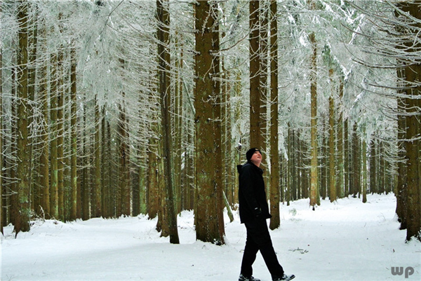 心脏病患者如何度过冬季这个“坎”？送你6个妙招，安稳过冬