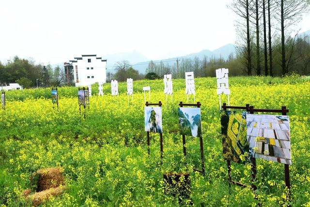 春风五千里，安徽休宁依托摄影产业催生摄影经济