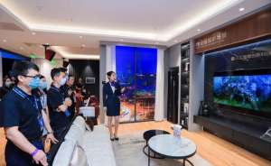 脸盆网(智慧生活如何定义？)