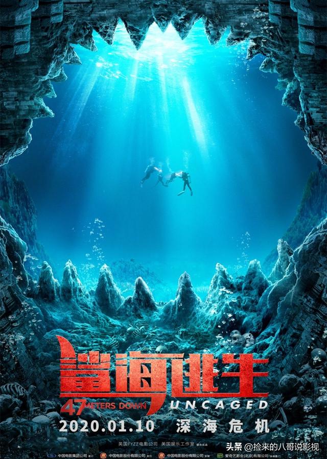 人类对鲨鱼的恐惧，都在这4部电影里了