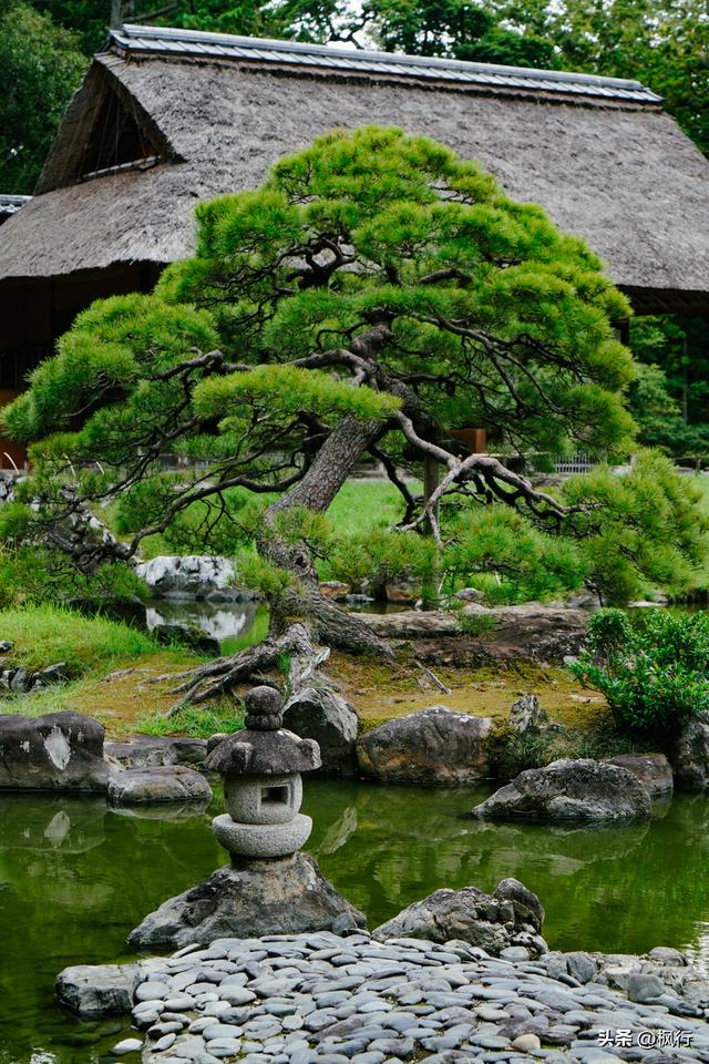 京都这座皇室的离宫，美且朴素的哲学，对得起超难的预约流程