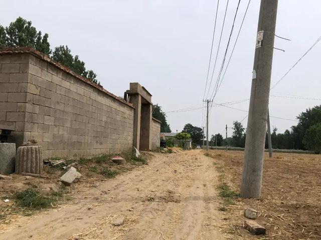 太讽刺!姜萍再被质疑,成名后各大人物去家里采访送礼,还要修路