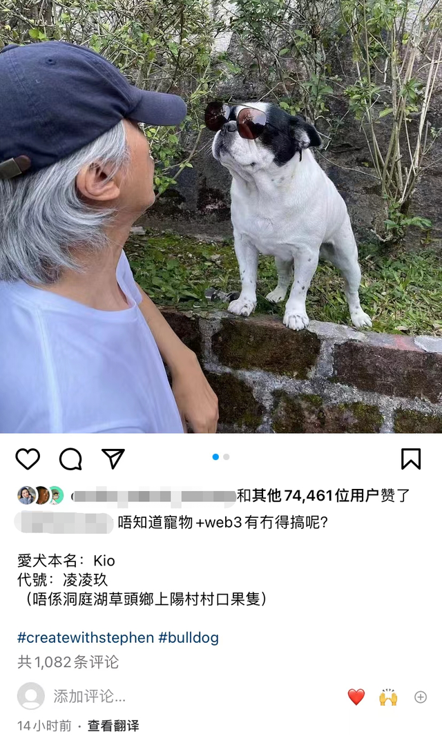 60岁周星驰罕晒近照!与爱犬合影互动不断,隔空嘟嘴献吻显宠溺