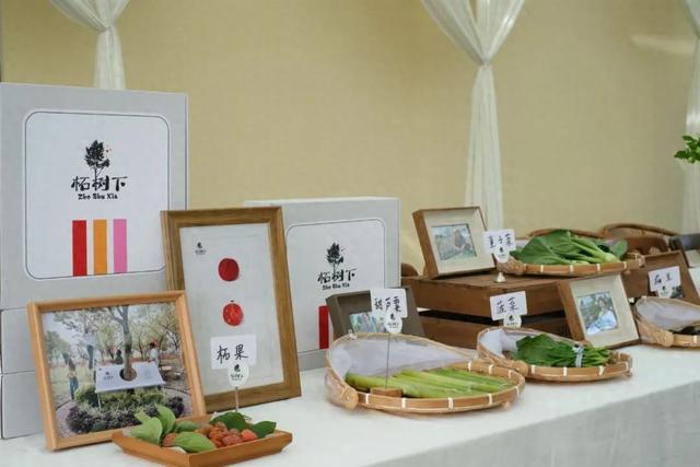 红柘、金稻、粉蔬，奉贤这个村的“庭院经济”有看头！