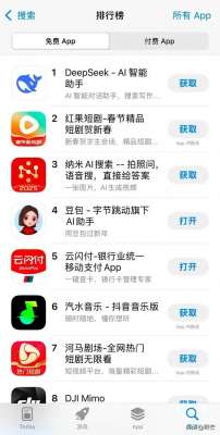 野芒(DeepSeek为何突然爆火？原来是一场颠覆AI游戏规则的技术革命风暴)