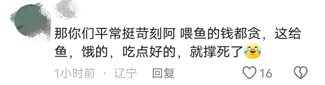 太搞笑了！国庆第一倒霉鬼，济南锦鲤吃撑而死，保安用证据劝游客