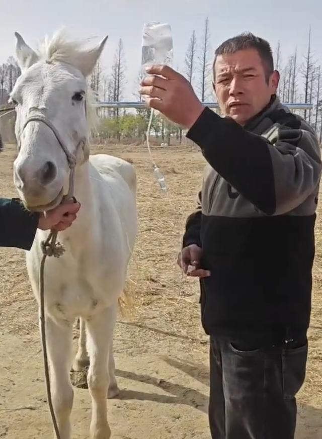 湖北仙桃救人“白龙马”突发病死亡，网友：愿在天堂自由如风