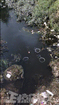 正惊GIF：健身房惊现长腿旗袍美女，力量比汉子还猛，惊呆围观路人